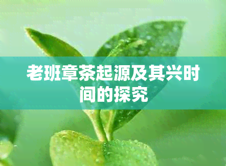 老班章茶起源及其兴时间的探究