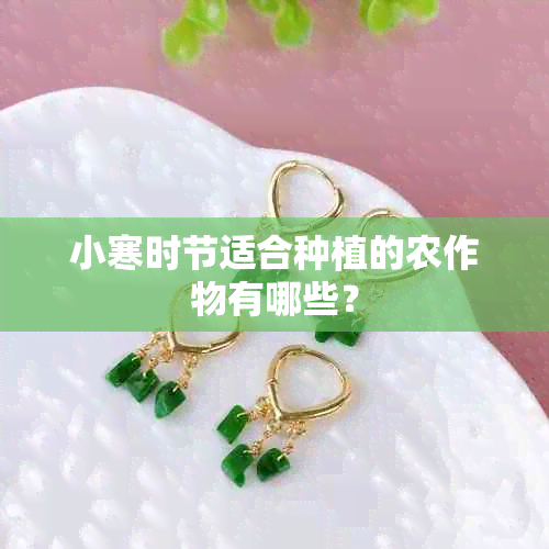 小寒时节适合种植的农作物有哪些？