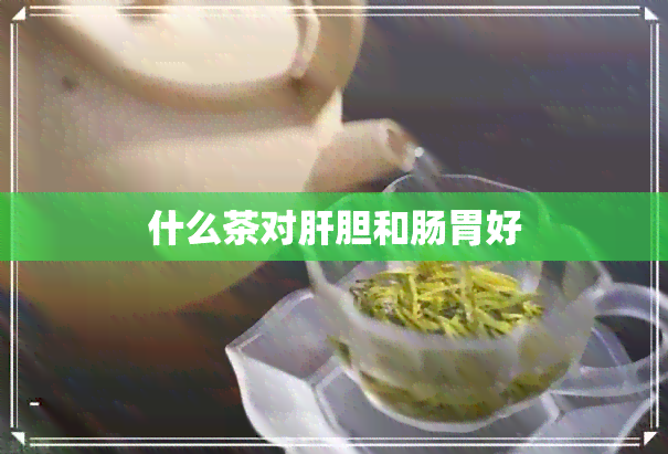 什么茶对肝胆和肠胃好