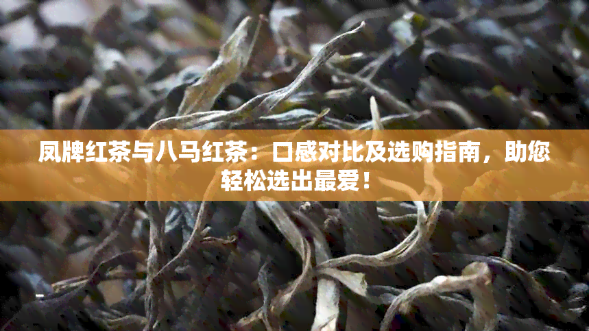 凤牌红茶与八马红茶：口感对比及选购指南，助您轻松选出更爱！