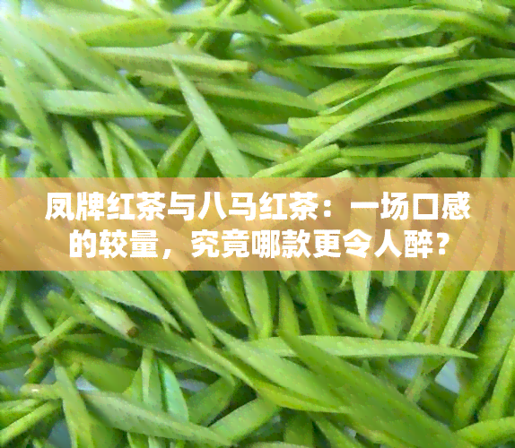 凤牌红茶与八马红茶：一场口感的较量，究竟哪款更令人醉？