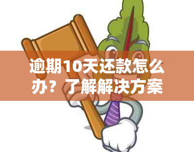 逾期10天还款怎么办？了解解决方案以避免影响个人信用