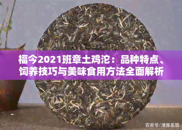 福今2021班章土鸡沱：品种特点、饲养技巧与美味食用方法全面解析