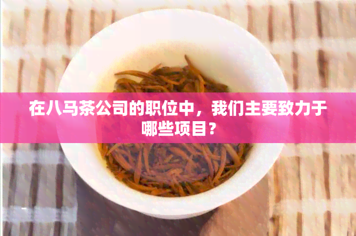 在八马茶公司的职位中，我们主要致力于哪些项目？