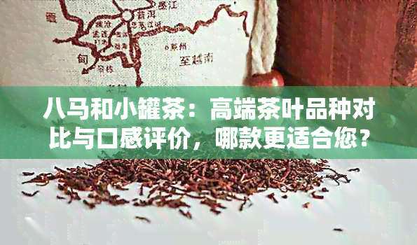 八马和小罐茶：高端茶叶品种对比与口感评价，哪款更适合您？