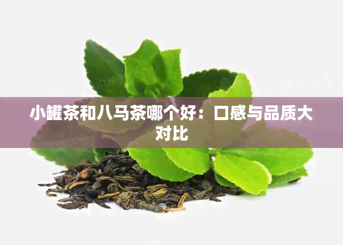 小罐茶和八马茶哪个好：口感与品质大对比