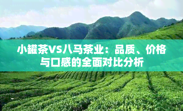 小罐茶VS八马茶业：品质、价格与口感的全面对比分析