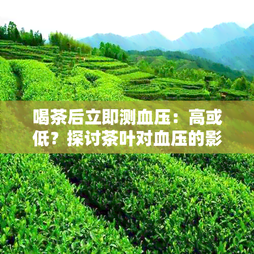 喝茶后立即测血压：高或低？探讨茶叶对血压的影响