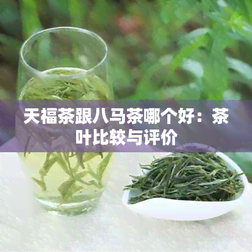 天福茶跟八马茶哪个好：茶叶比较与评价