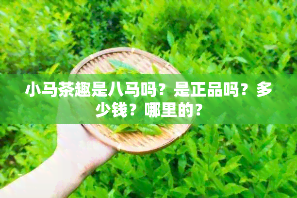 小马茶趣是八马吗？是正品吗？多少钱？哪里的？