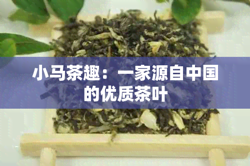 小马茶趣：一家源自中国的优质茶叶