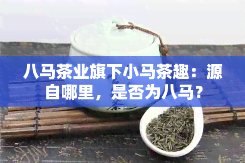 八马茶业旗下小马茶趣：源自哪里，是否为八马？