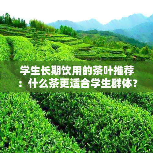 学生长期饮用的茶叶推荐：什么茶更适合学生群体？