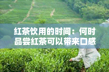 红茶饮用的时间：何时品尝红茶可以带来口感和健效益？