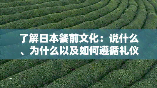 了解餐前文化：说什么、为什么以及如何遵循礼仪