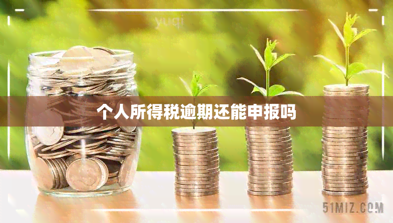 个人所得税逾期还能申报吗