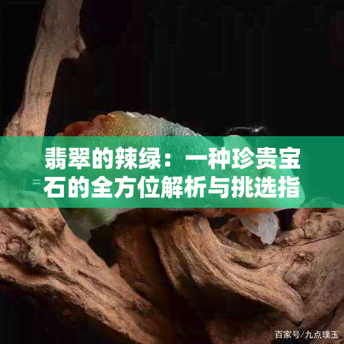 翡翠的辣绿：一种珍贵宝石的全方位解析与挑选指南