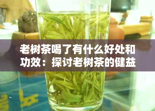 老树茶喝了有什么好处和功效：探讨老树茶的健益处与注意事项