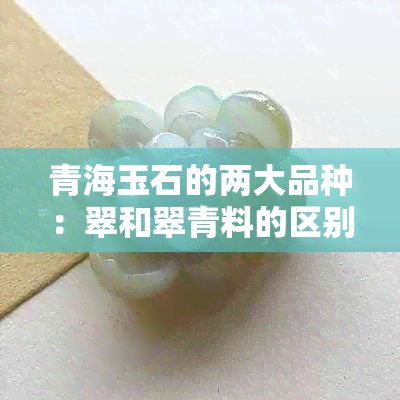 青海玉石的两大品种：翠和翠青料的区别解析