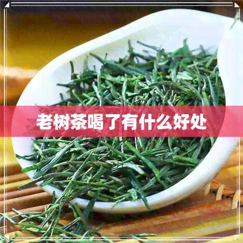 老树茶喝了有什么好处