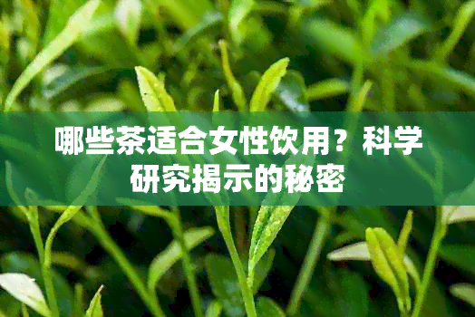 哪些茶适合女性饮用？科学研究揭示的秘密