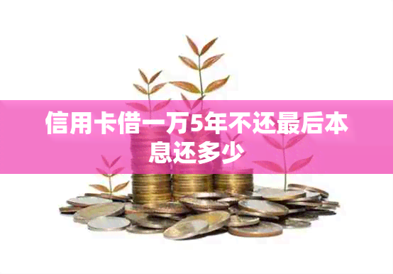 信用卡借一万5年不还最后本息还多少