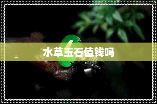 水草玉石值钱吗