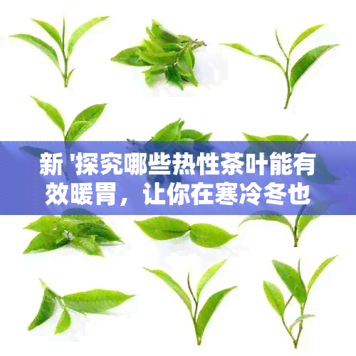 新 '探究哪些热性茶叶能有效暖胃，让你在寒冷冬也能适自在'