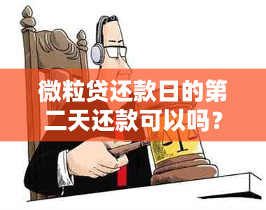 微粒贷还款日的第二天还款可以吗？怎么还？