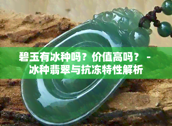 碧玉有冰种吗？价值高吗？ - 冰种翡翠与抗冻特性解析