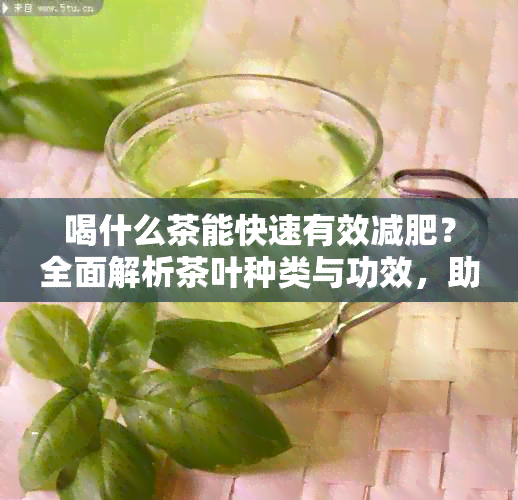 喝什么茶能快速有效减肥？全面解析茶叶种类与功效，助你轻松瘦身！