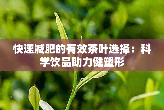 快速减肥的有效茶叶选择：科学饮品助力健塑形