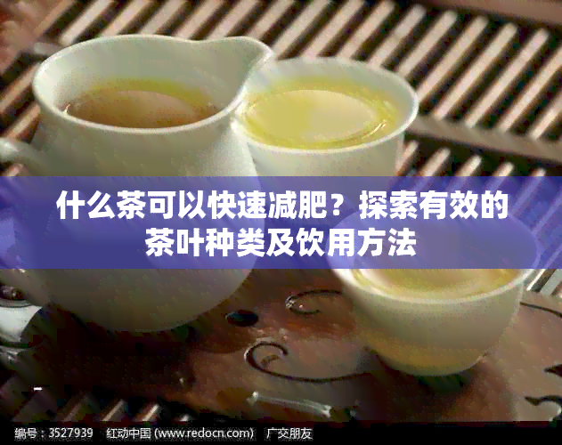 什么茶可以快速减肥？探索有效的茶叶种类及饮用方法