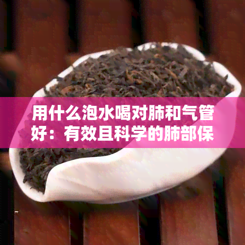 用什么泡水喝对肺和气管好：有效且科学的肺部保护方案