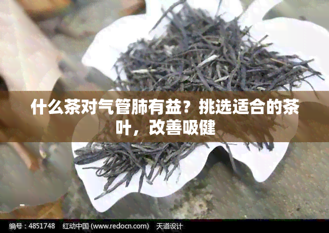 什么茶对气管肺有益？挑选适合的茶叶，改善吸健