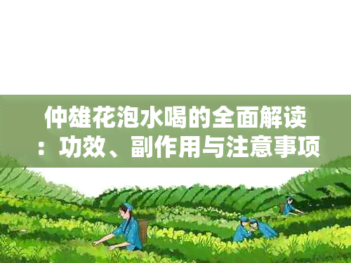 仲雄花泡水喝的全面解读：功效、副作用与注意事项，助您健饮用