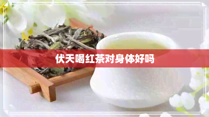 伏天喝红茶对身体好吗