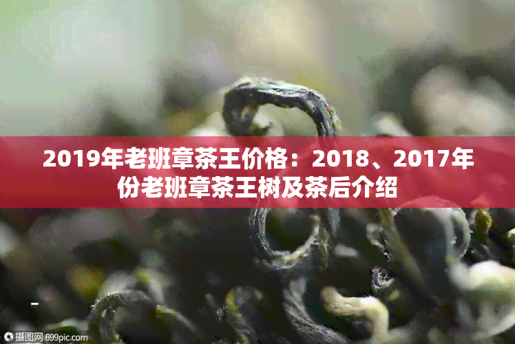 2019年老班章茶王价格：2018、2017年份老班章茶王树及茶后介绍