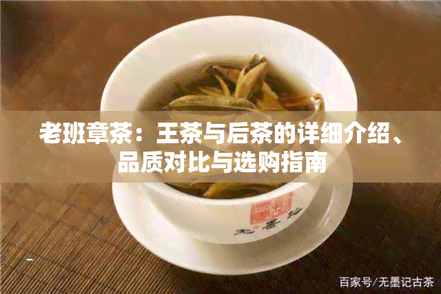 老班章茶：王茶与后茶的详细介绍、品质对比与选购指南