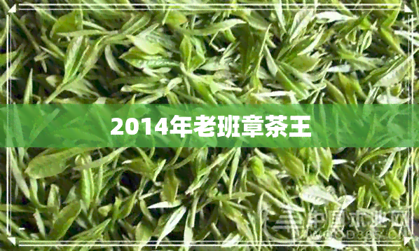 2014年老班章茶王