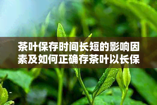 茶叶保存时间长短的影响因素及如何正确存茶叶以长保质期