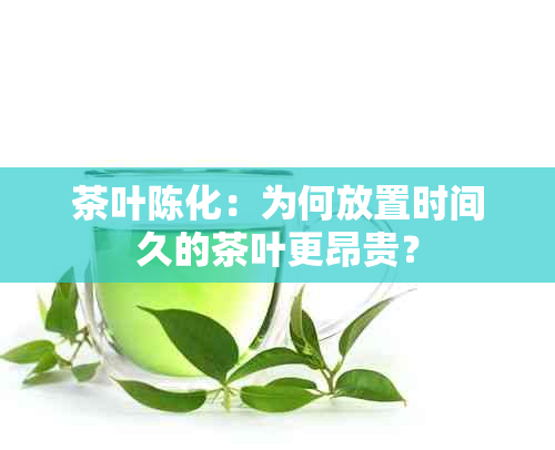 茶叶陈化：为何放置时间久的茶叶更昂贵？