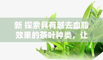 新 探索具有越去血脂效果的茶叶种类，让你的健之路更加顺畅