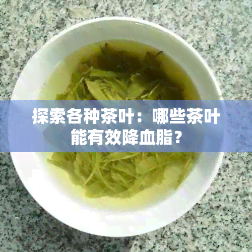 探索各种茶叶：哪些茶叶能有效降血脂？