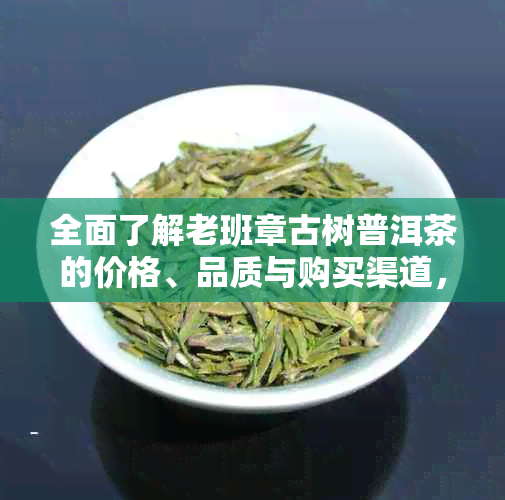 全面了解老班章古树普洱茶的价格、品质与购买渠道，解答您的所有疑问