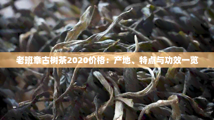 老班章古树茶2020价格：产地、特点与功效一览