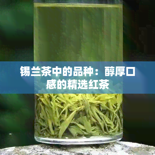 锡兰茶中的品种：醇厚口感的精选红茶