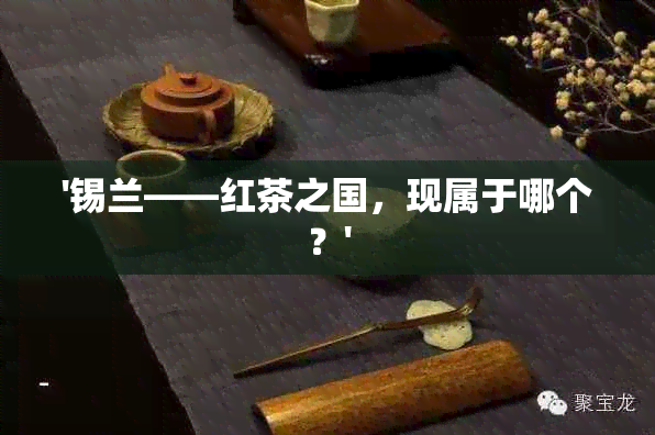 '锡兰——红茶之国，现属于哪个？'