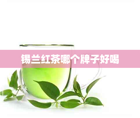 锡兰红茶哪个牌子好喝