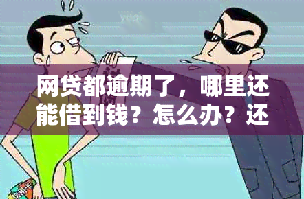 网贷都逾期了，哪里还能借到钱？怎么办？还有哪里可以借吗？